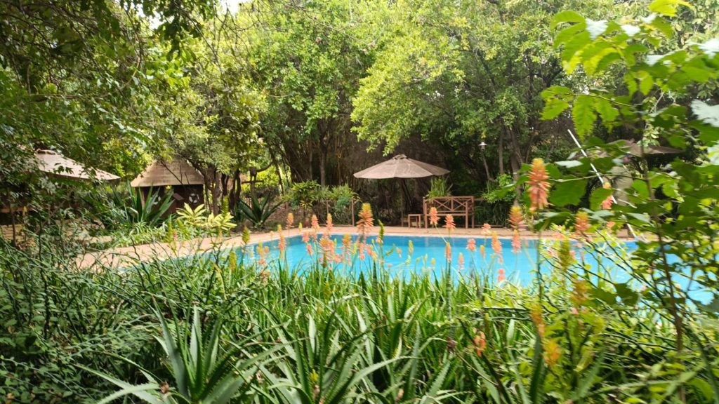 iKWETA Safari Camp